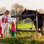 Get your home and barn organized