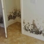 Sierra Remodeling removes mold